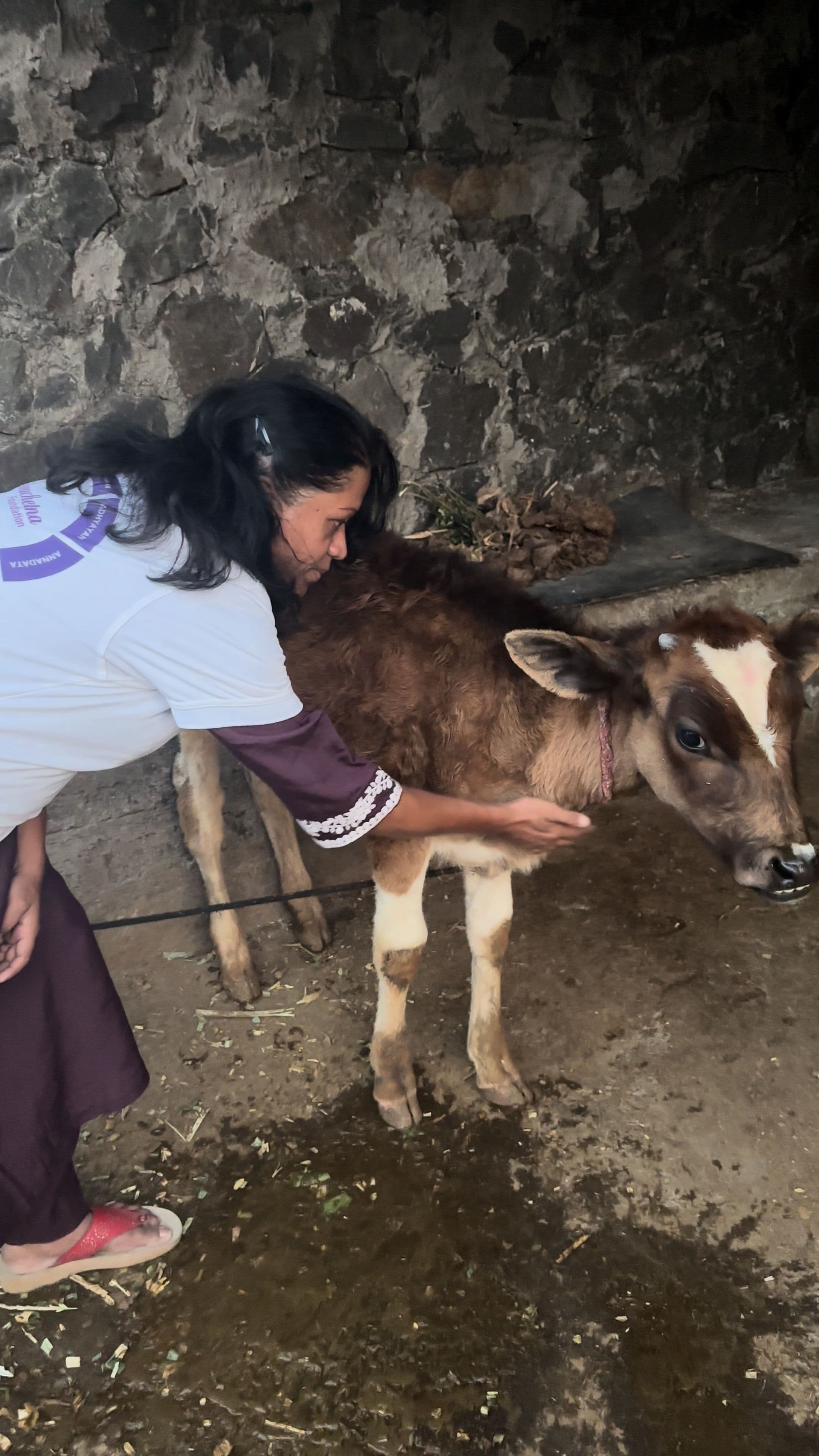 Animal Welfare & Goshala Support Initiative